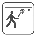 sport: badminton