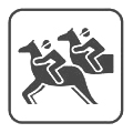 sport: equitazione