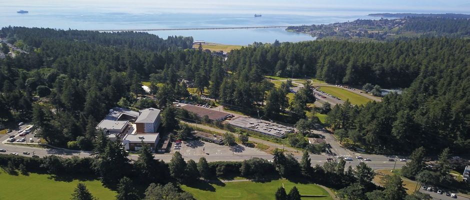 viaggi studio all'estero