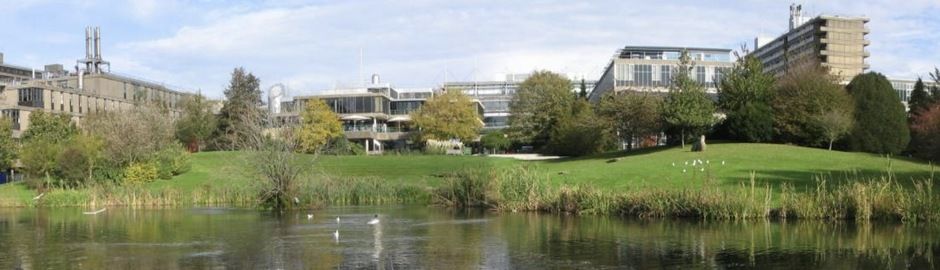 viaggi studio all'estero