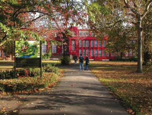 Regent's University <br>La Scuola