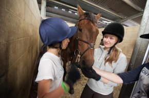 Plumpton_3 Plumpton_3