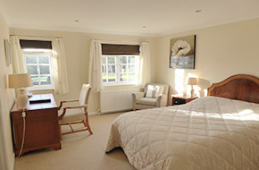 cheney_4