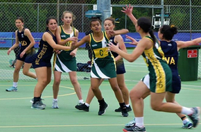 Lynfield___netball Lynfield___netball