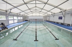 maryhare_2 maryhare_2