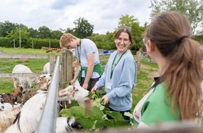 merristwood_7 merristwood_7