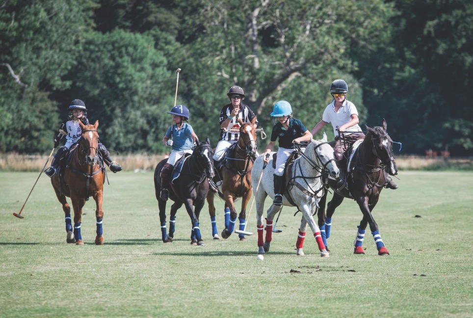 weston_polo