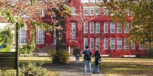 viaggi studio all'estero per ragazzi - corsi di inglese in college 